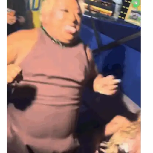 Patixa 