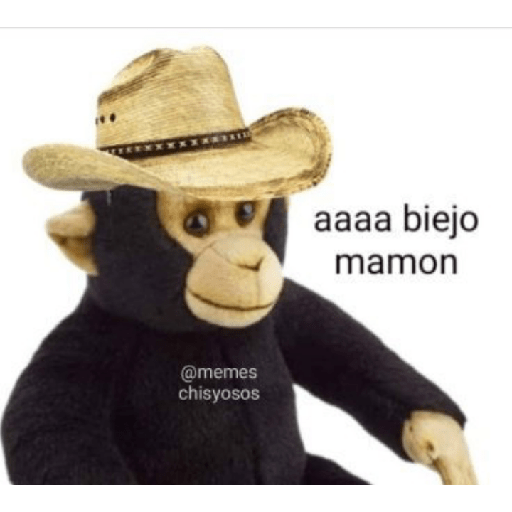 Memes de peluches 🧸 💞 3 12