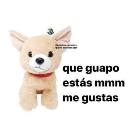 Memes de peluches 🧸 💞 3 20