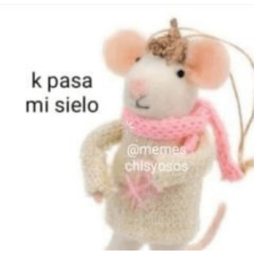 Memes de peluches 🧸 💞 3 6