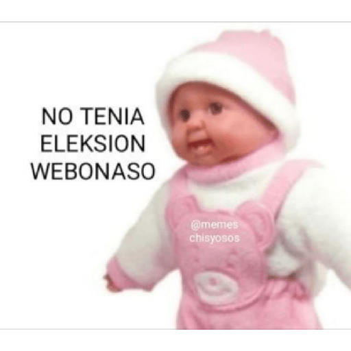 Memes de peluches 🧸 💞 3 11