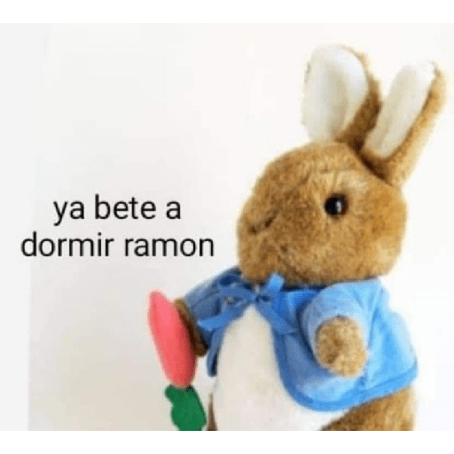 Memes de peluches 🧸 💞 3 22