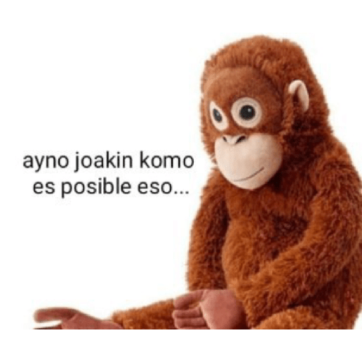 Memes de peluches 🧸 💞 3 16