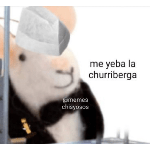 Memes de peluches 🧸 💞 3 18