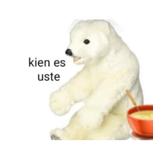 Memes de peluches 🧸 💞 3 14