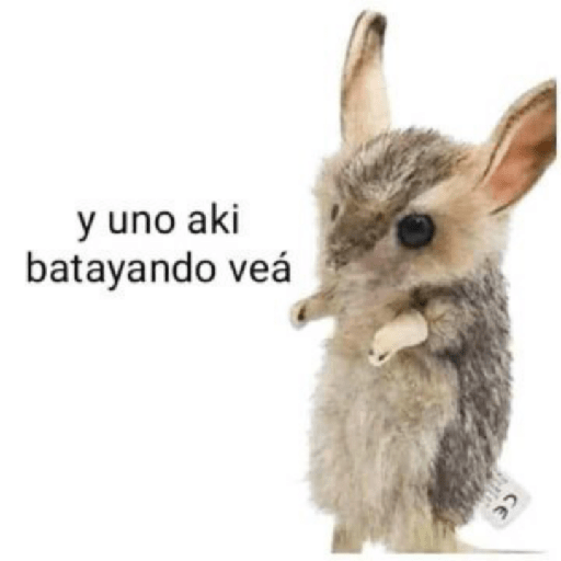 Memes de peluches 🧸 💞 3 2