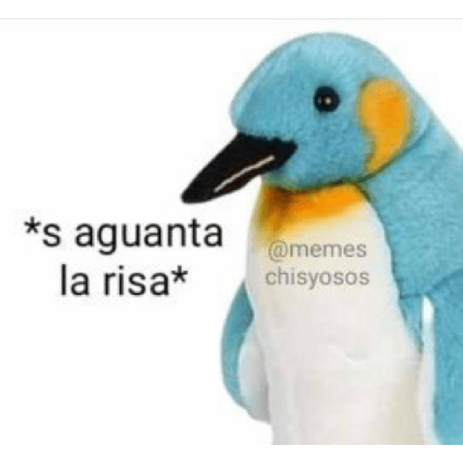 Memes de peluches 🧸 💞 3 10