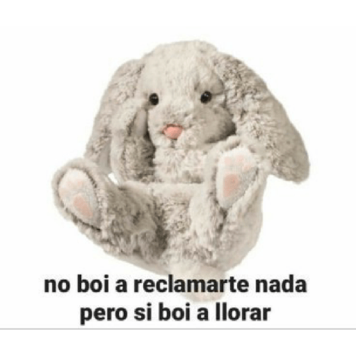 Memes de peluches 🧸 💞 3 5