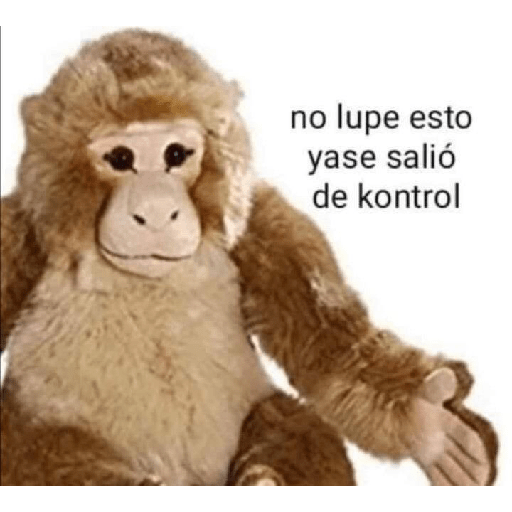 Memes de peluches 🧸 💞 3 30