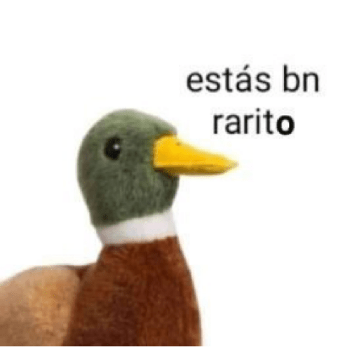 Memes de peluches 🧸 💞 3 3