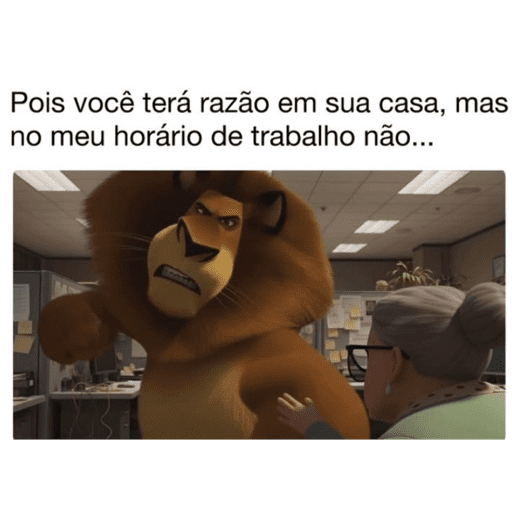 Novo 10