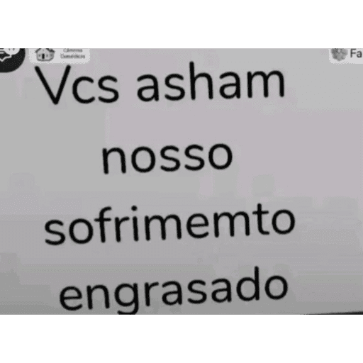 Novo 13