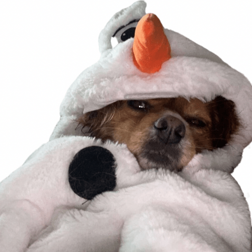 785cc16b-f846-4459-bb39-0abdd165d2db.png