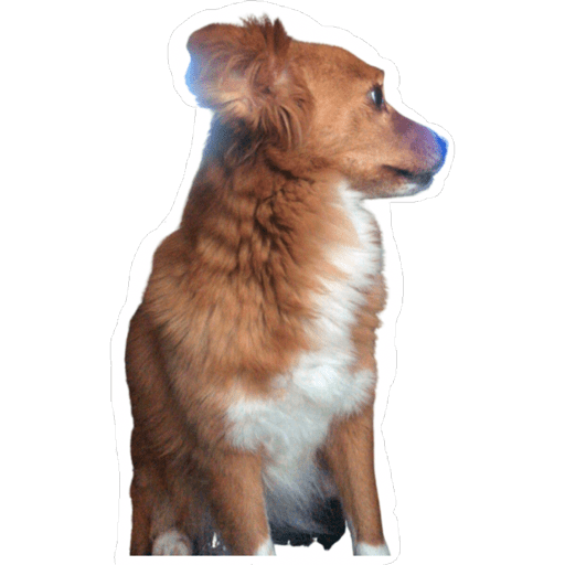 ab297c99-8b10-482a-a1e0-08fbb69a178b.png