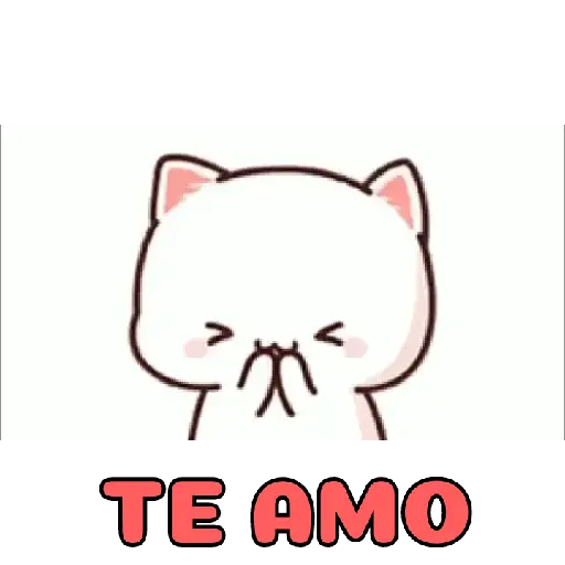 Amor 2