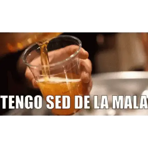 Beber 21