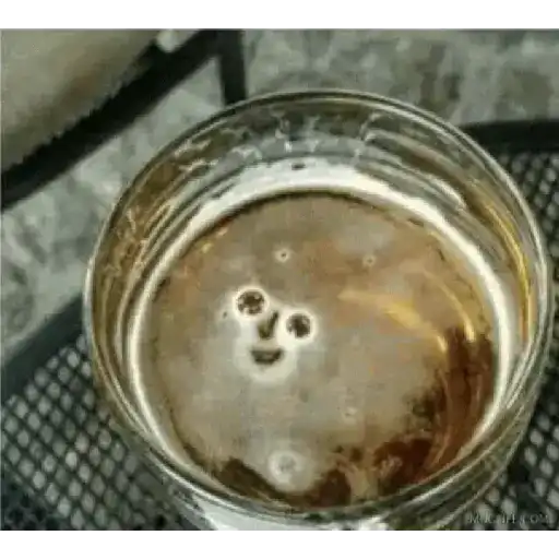 Beber 11