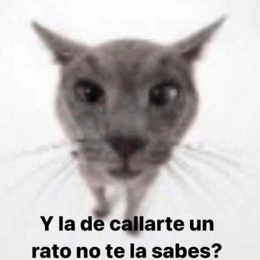 😻 MICHIS RANDOMS 😸 12