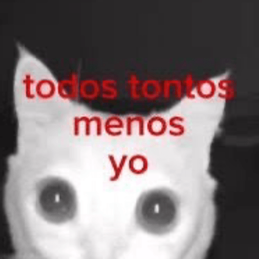 😻 MICHIS RANDOMS 😸 17