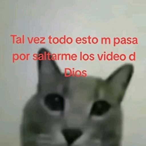 😻 MICHIS RANDOMS 😸 15