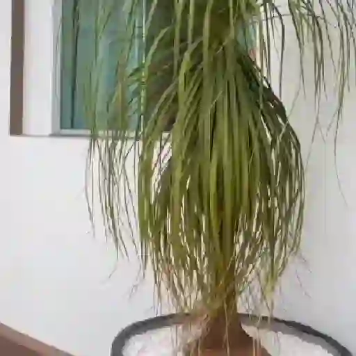 Figurinhas do tik tok 15