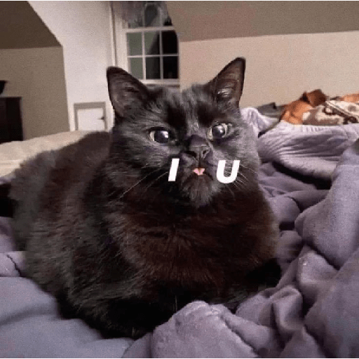 Gatitos