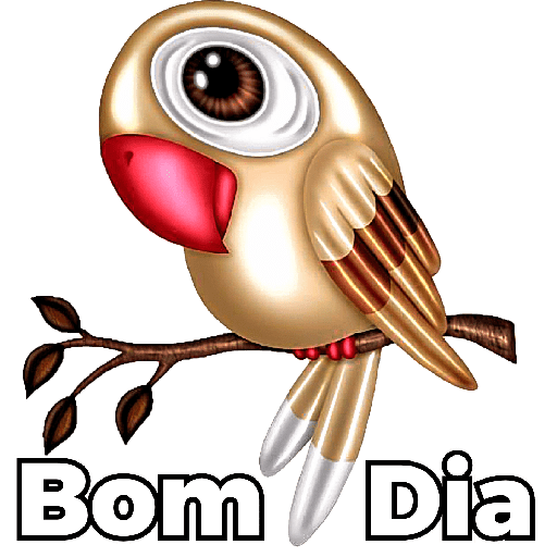 BOM DIA / TARDE / NOITE 5