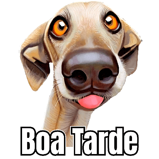BOM DIA / TARDE / NOITE 19