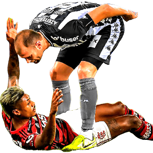 BOTAFOGO 2 30
