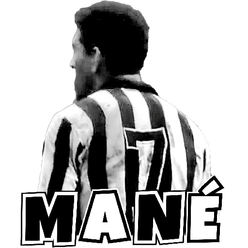 BOTAFOGO 2 4