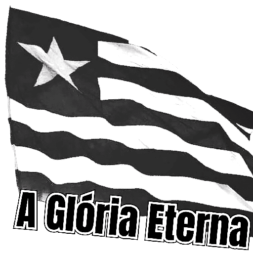 BOTAFOGO 2 10