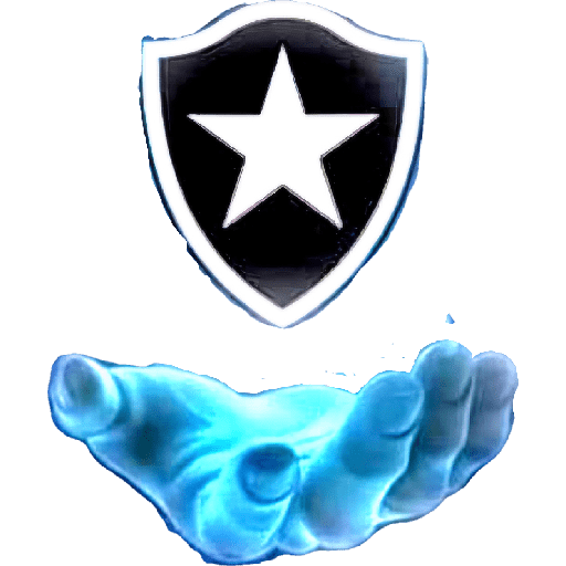 BOTAFOGO 2 16