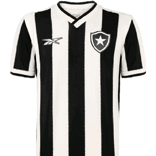 BOTAFOGO 2 3