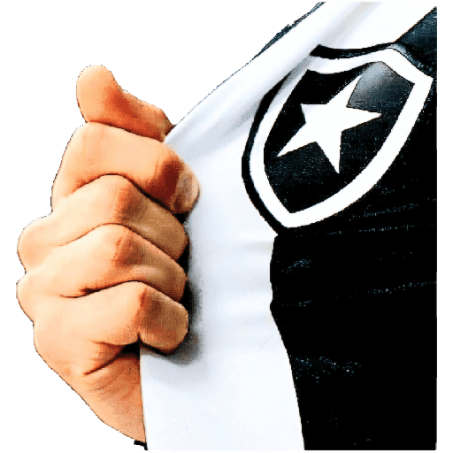 BOTAFOGO 2 24