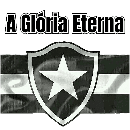 BOTAFOGO 2 9