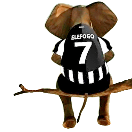 BOTAFOGO 2 25