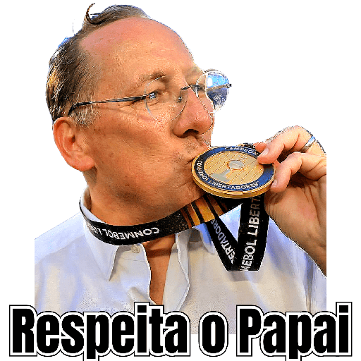 BOTAFOGO 2 6