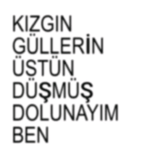 Brat türkçe ☆ 13