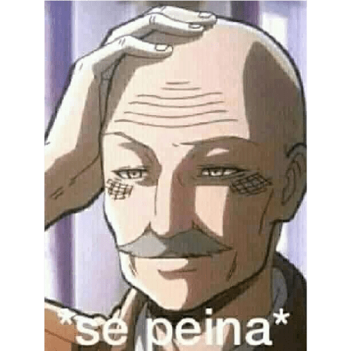 Humor variado 16