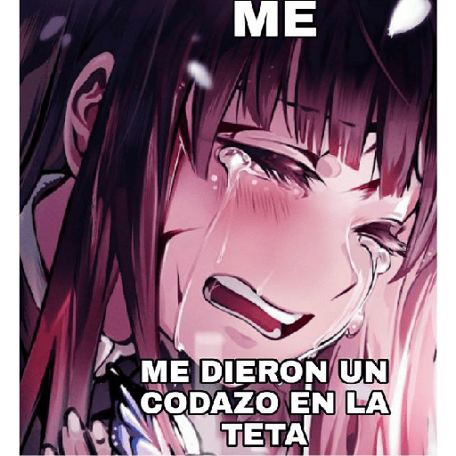 Humor variado 14