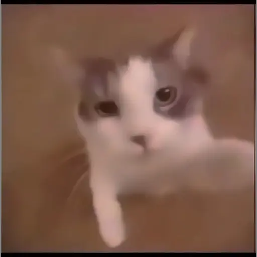 Hehehe 1