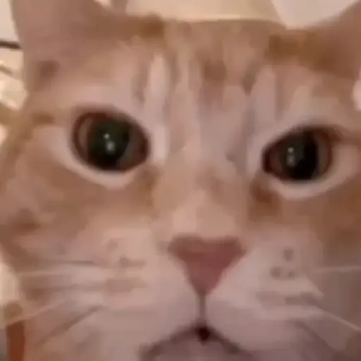 Hehehe 5
