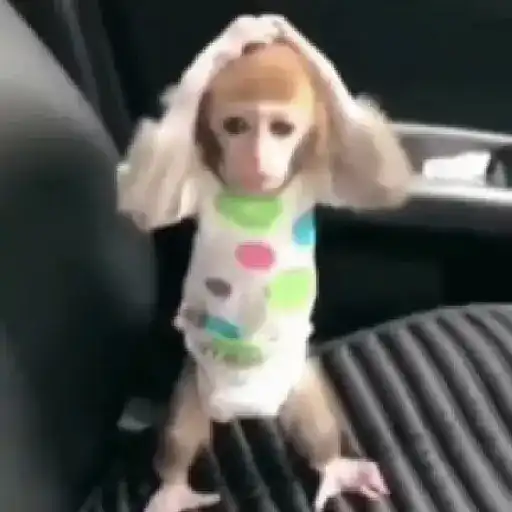 Hehehe 3