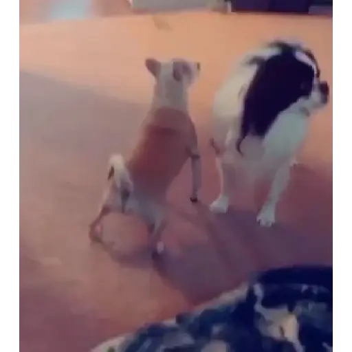 Hehehe 4