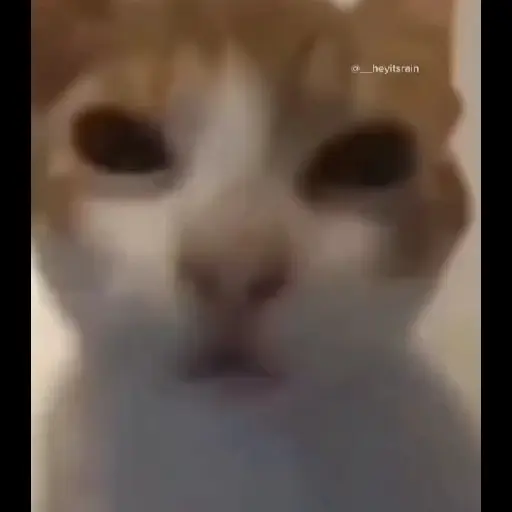 Hehehe 2