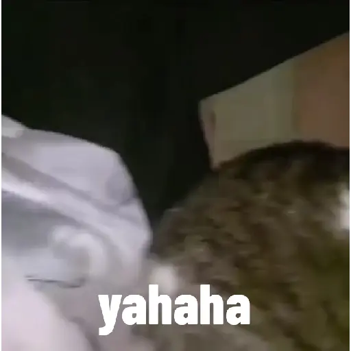 Hehehe 14