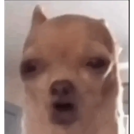 Hehehe 25