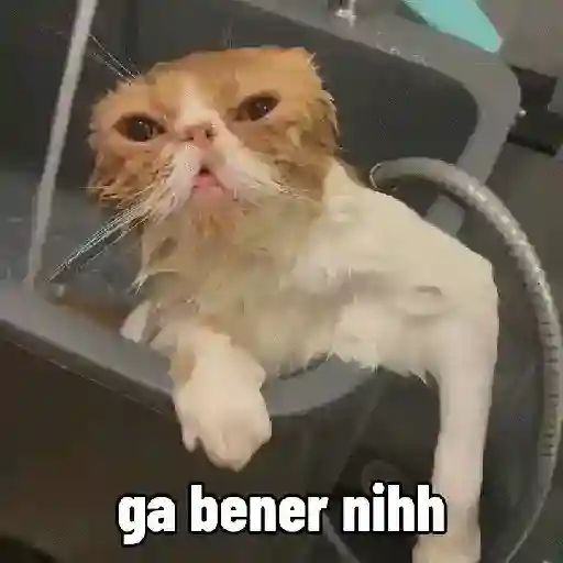 Hehehe 8