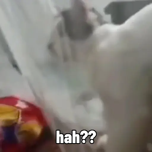 Hehehe 7
