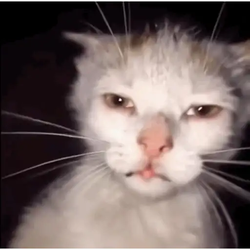 Hehehe 20